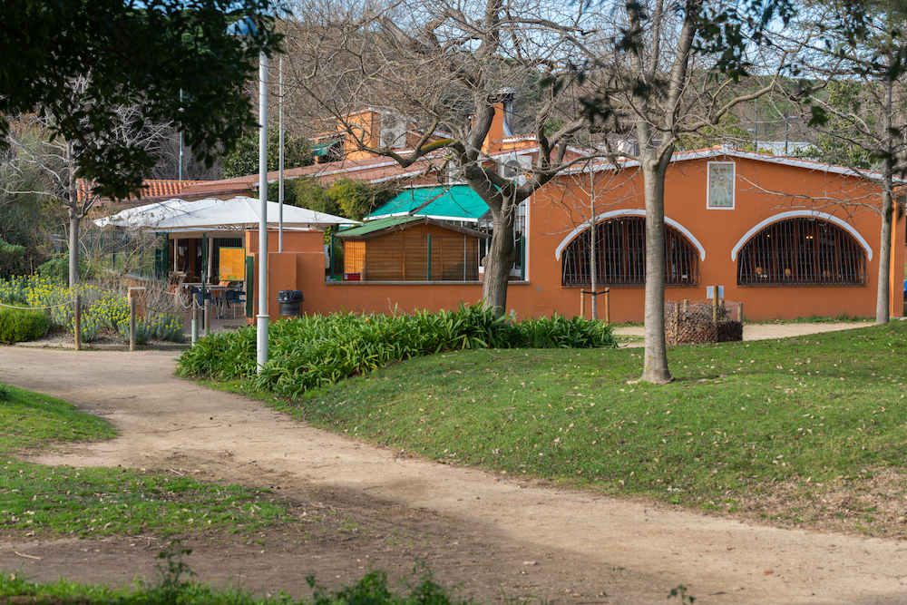 _RMM4411 (1)